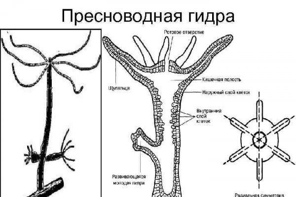 Кракен портал