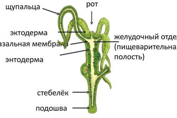 Сайт kraken тор