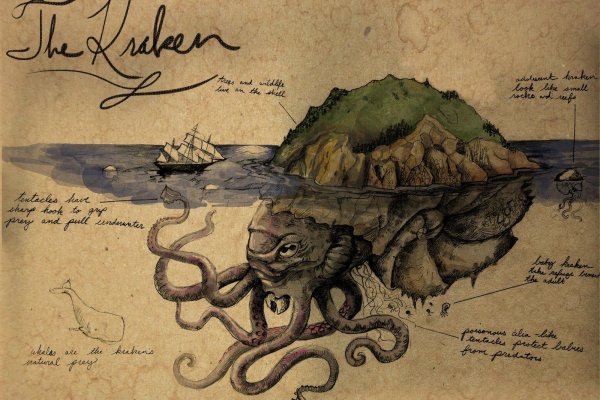 Kraken даркнет переходник